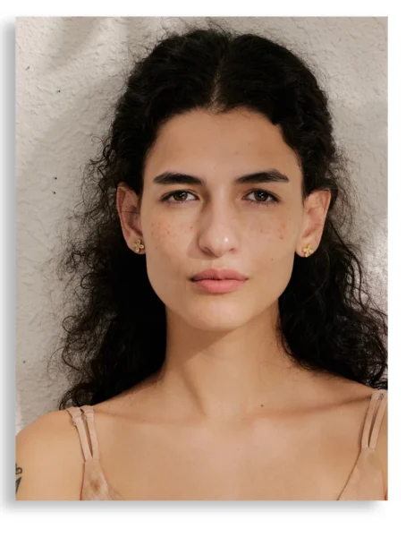 puce-doreille-acier-inoxydable