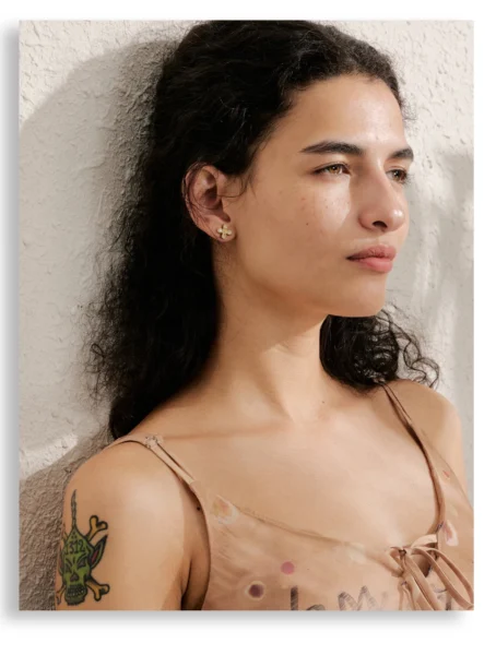 puce-doreille-acier-inoxydable