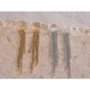 boucles-doreilles-pendantes-cascade